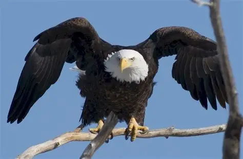 Você é o que Deus pensa e diz sobre você na Bíblia